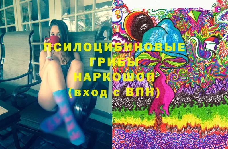 Псилоцибиновые грибы Magic Shrooms  купить наркотики цена  Дзержинский 